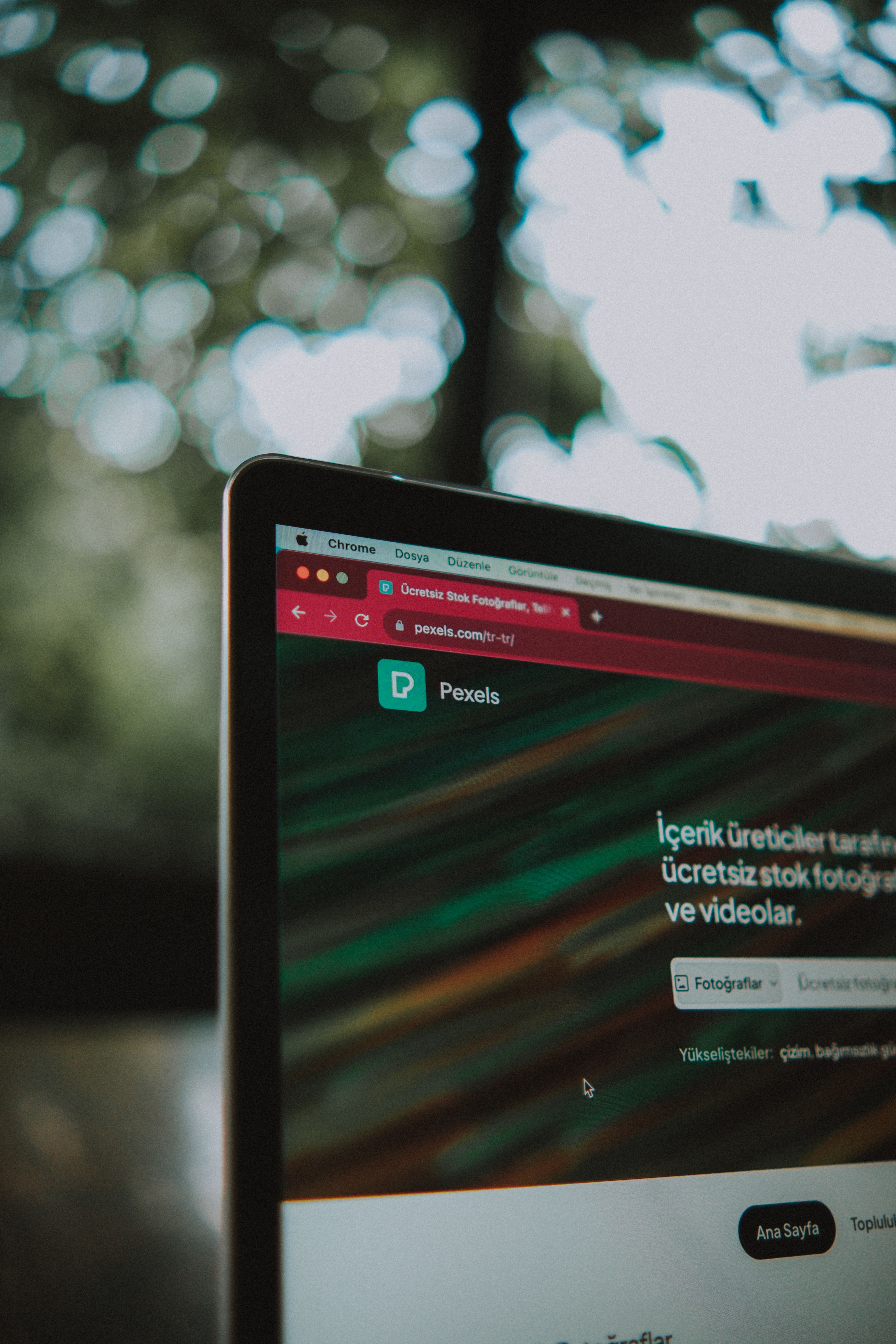 WordPress website redesign theme options